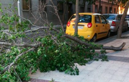 Ramas caídas en el distrito Torrero La Paz Primavera 2018