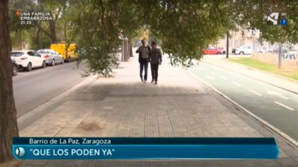 Aragón TV poda árboles