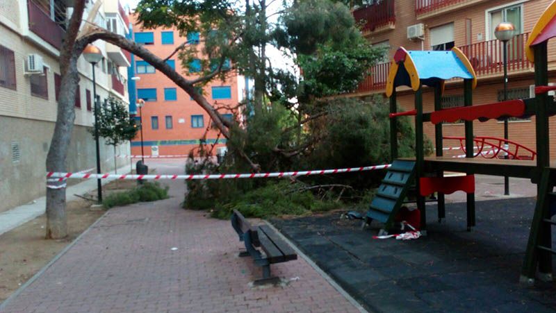Situación de los árboles en el barrio
