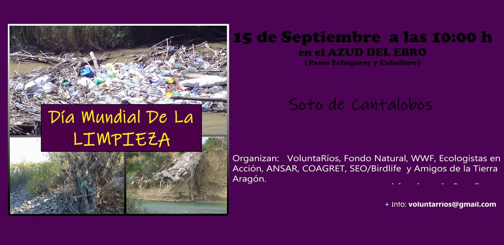 Jornada de limpieza en el Soto de Cantalobos