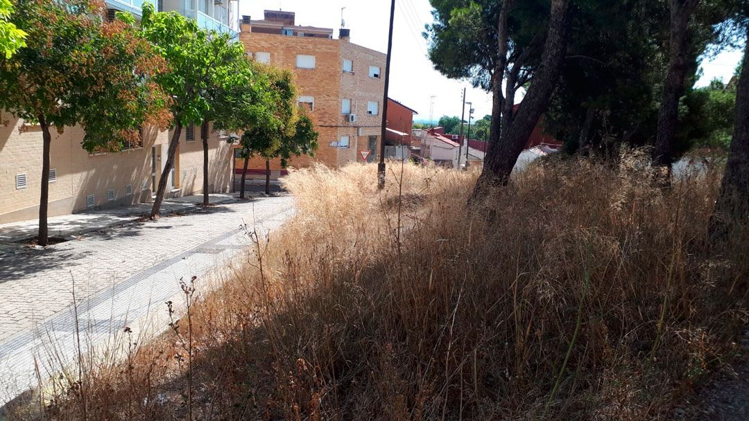 Limpieza urgente de la maleza en solares en La Paz