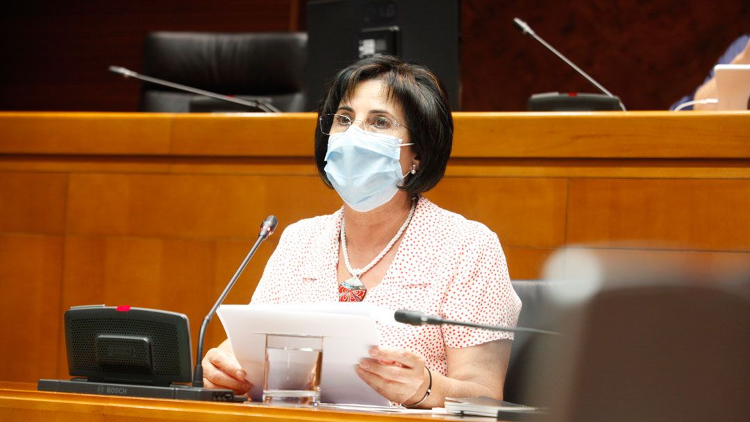 La Comisión de Mayores de la FABZ, en las Cortes de Aragón