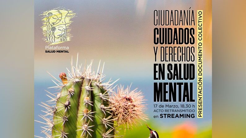 Presentación documento sobre Cuidados en Salud Mental