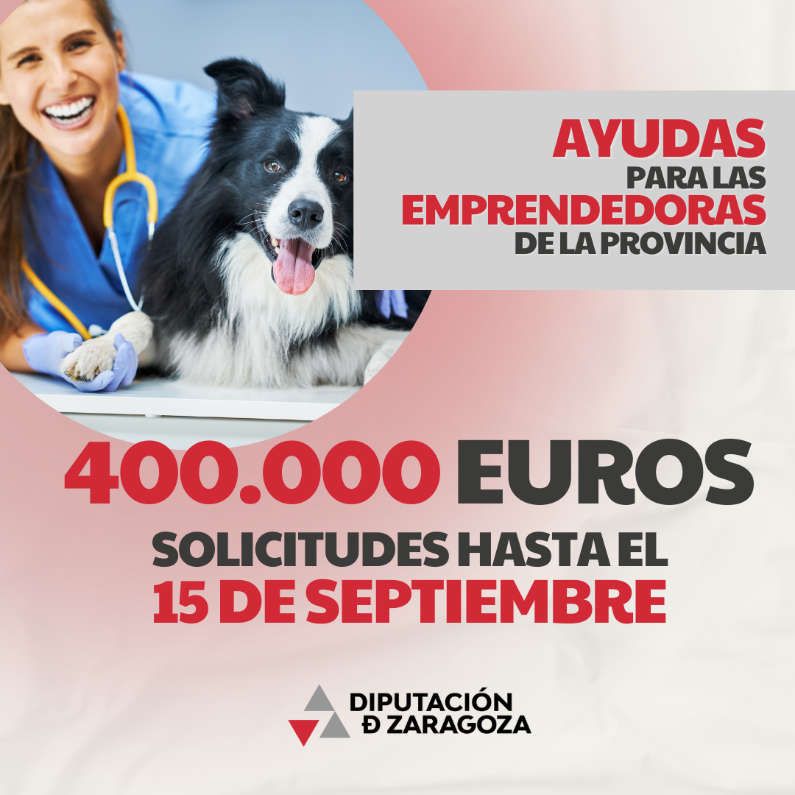 Nueva convocatoria de la DPZ para Mujeres Emprendedoras