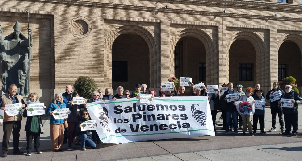 Salvemos los PInares concentración Ayuntamiento FEB 2025