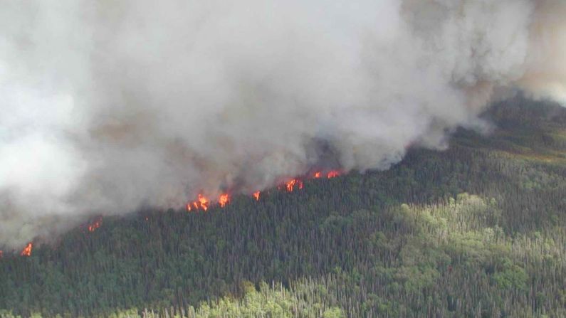 Comunicado CEAV ante la oleada de incendios