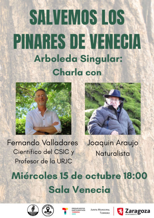 Fiestas del Pinar Torrero 2025