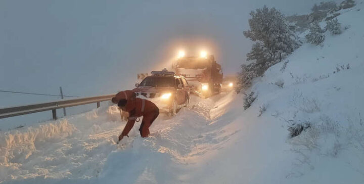 50 años salvando vidas