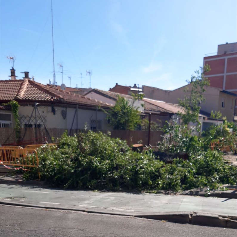Árbol Caído Calle Boente