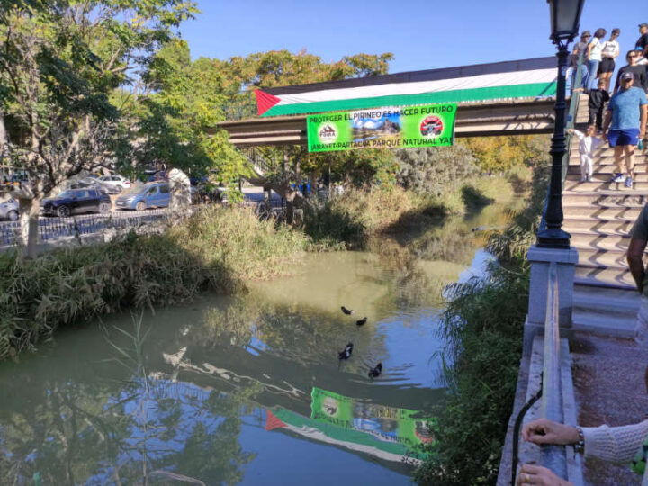 Bajada del Canal 2026