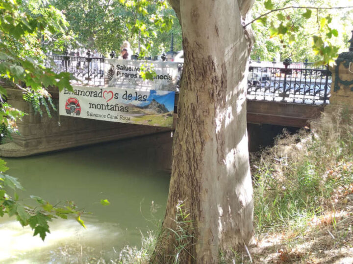 Bajada del Canal 2026