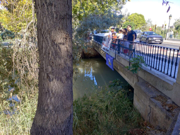 Bajada del Canal 2026