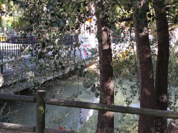 Bajada del Canal 2026